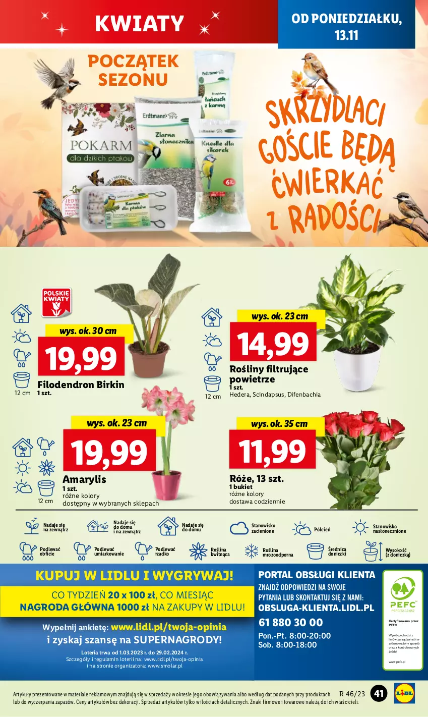 Gazetka promocyjna Lidl - GAZETKA - ważna 13.11 do 15.11.2023 - strona 57 - produkty: Amarylis, Bukiet, Chia, Cień, Dron, Gry, Mola, NBA, O nas, Por, Sok