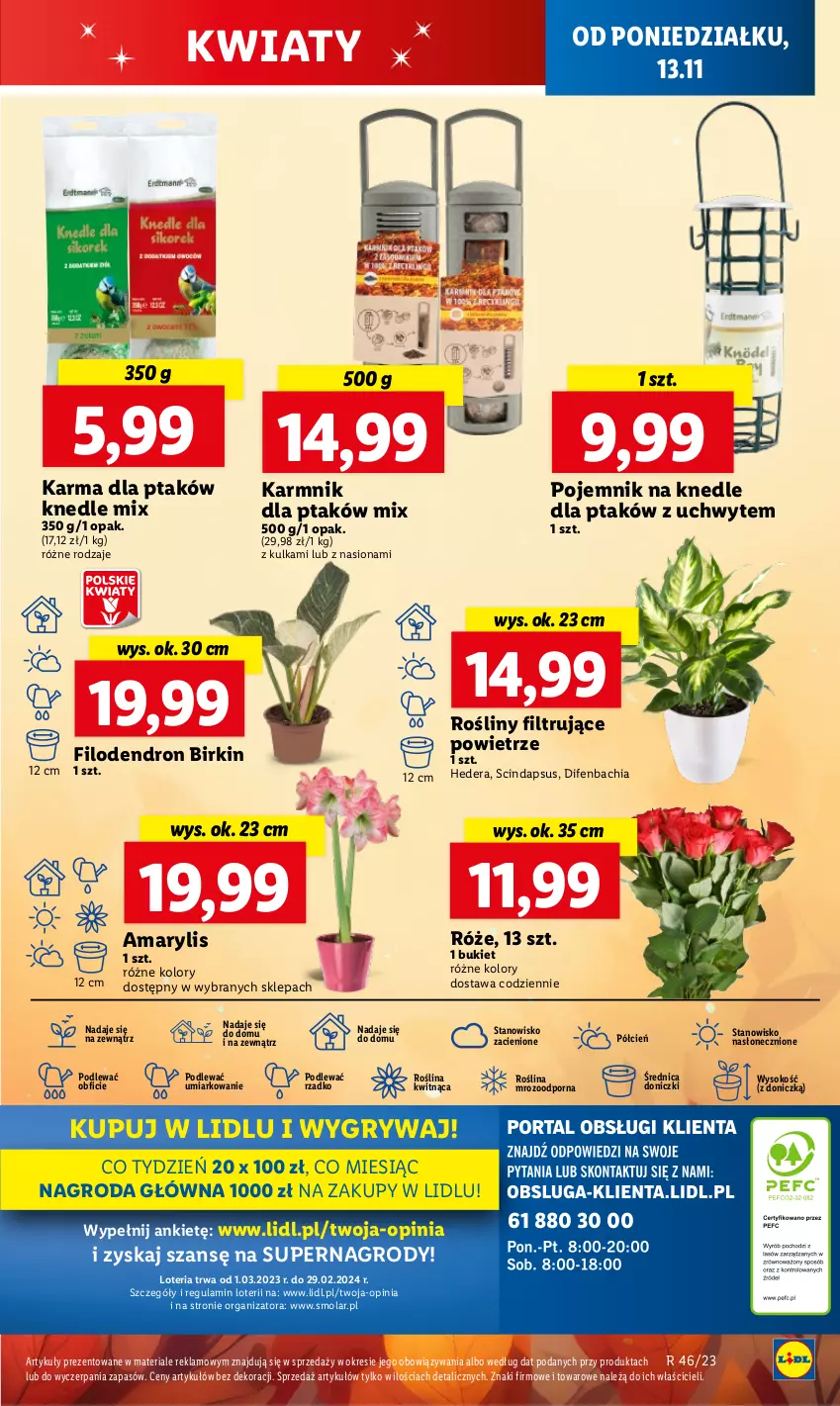 Gazetka promocyjna Lidl - GAZETKA - ważna 13.11 do 15.11.2023 - strona 65 - produkty: Amarylis, Bukiet, Chia, Cień, Dron, Gry, Knedle, Mola, NBA, O nas, Pojemnik, Por, Sok