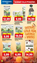 Gazetka promocyjna Lidl - GAZETKA - Gazetka - ważna od 15.11 do 15.11.2023 - strona 64 - produkty: Knedle