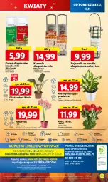 Gazetka promocyjna Lidl - GAZETKA - Gazetka - ważna od 15.11 do 15.11.2023 - strona 65 - produkty: Sok, Por, NBA, Gry, Amarylis, Chia, Cień, O nas, Pojemnik, Dron, Knedle, Mola, Bukiet