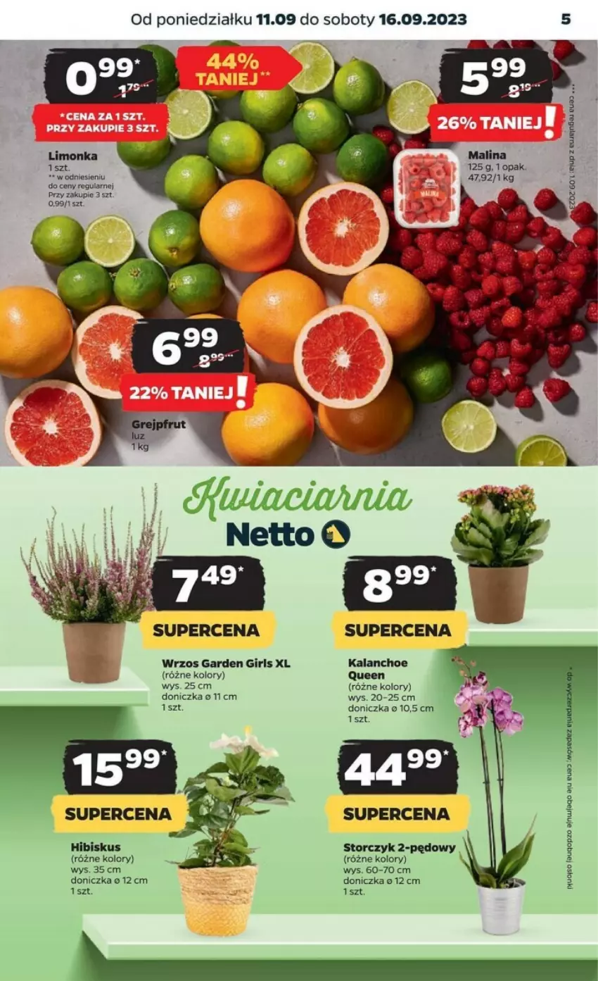 Gazetka promocyjna Netto - ważna 11.09 do 16.09.2023 - strona 21 - produkty: Hibiskus, Limonka, Storczyk