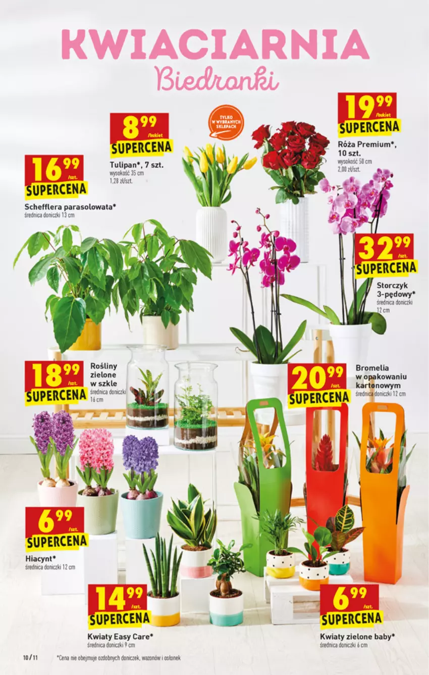 Gazetka promocyjna Biedronka - W tym tygodniu - ważna 13.01 do 19.01.2022 - strona 10 - produkty: Bromelia, Parasol, Róża, Sok, Tulipan