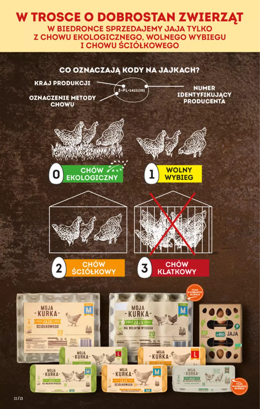 Gazetka promocyjna Biedronka - W tym tygodniu - ważna 13.01 do 19.01.2022 - strona 22 - produkty: Dron, Jaja