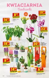 Gazetka promocyjna Biedronka - W tym tygodniu - Gazetka - ważna od 19.01 do 19.01.2022 - strona 10 - produkty: Sok, Tulipan, Róża, Parasol, Bromelia