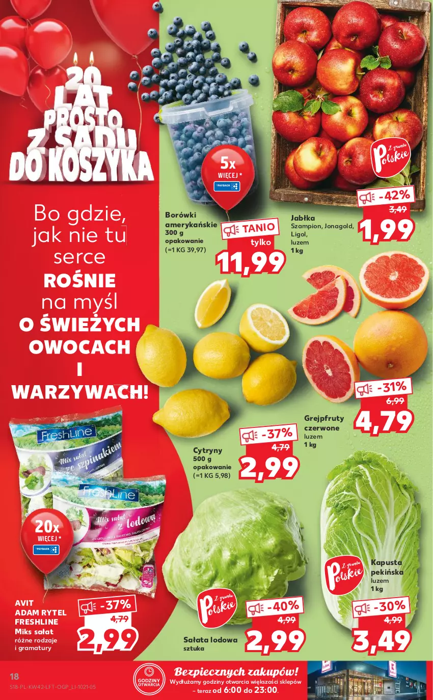 Gazetka promocyjna Kaufland - OFERTA TYGODNIA - ważna 21.10 do 27.10.2021 - strona 18 - produkty: Cytryny, Gra, Grejpfrut, Jabłka, Jonagold, Ligol, Piec, Rama, Sałat, Sałata lodowa, Ser, Szampion, Tera, Warzywa