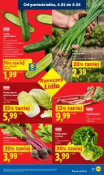 Gazetka promocyjna Lidl - Gazetka ważna od 04.05 do 06.05 - Gazetka - ważna od 06.05 do 06.05.2026 - strona 39 - produkty: Cebula, Sałata masłowa, Sałat, Masło