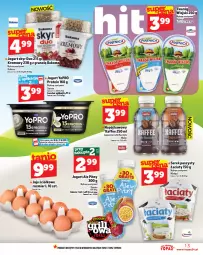 Gazetka promocyjna Topaz - Gazetka - Gazetka - ważna od 11.06 do 11.06.2025 - strona 13 - produkty: Serek puszysty, Top, Ser, Gra, Danone, Twaróg, Piątnica, Jaja, Jogurt, Chia, Serek, Bakoma, Cappuccino, Napój, Magnez
