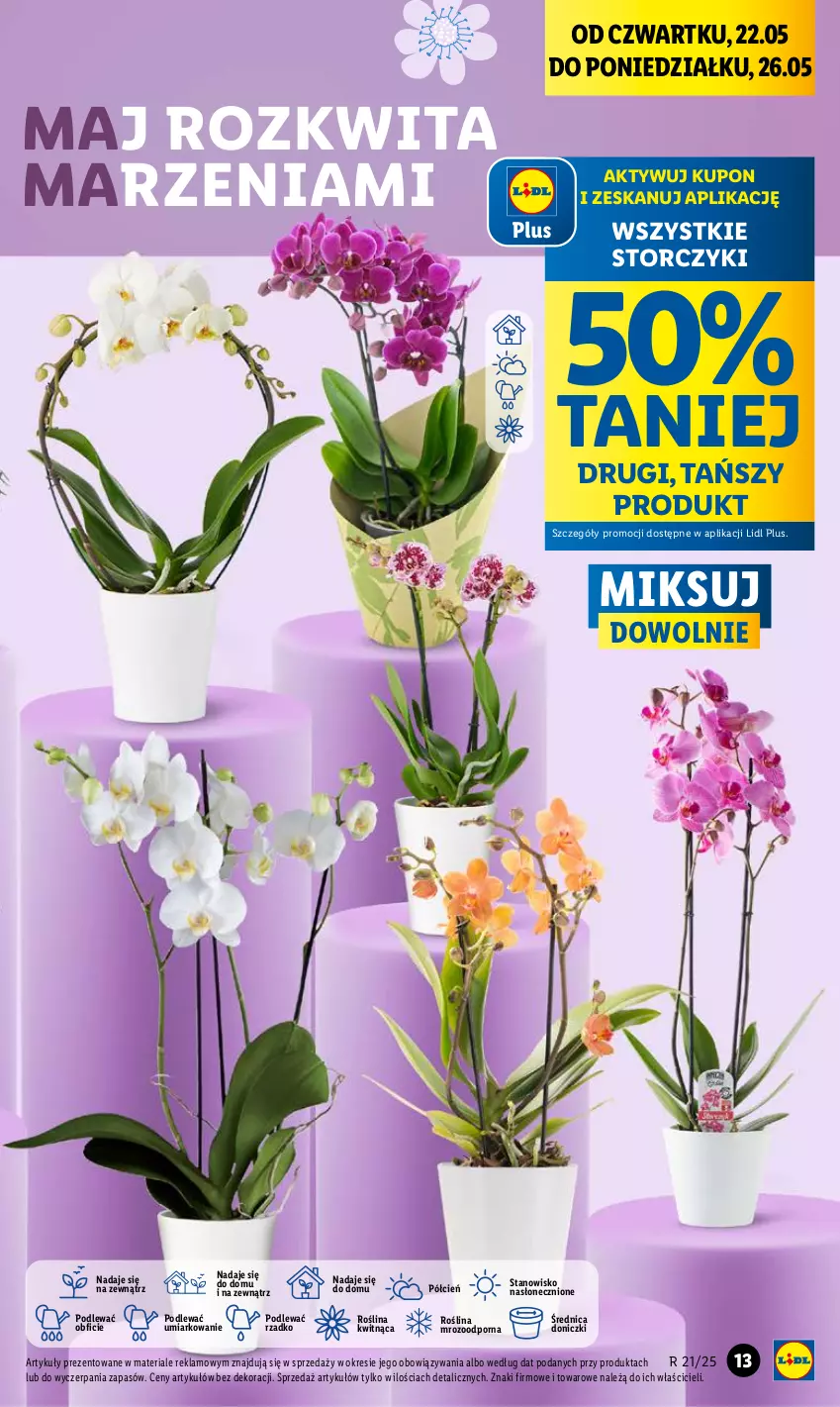 Gazetka promocyjna Lidl - GAZETKA - ważna 22.05 do 24.05.2025 - strona 15 - produkty: Cień, O nas, Por, Storczyk