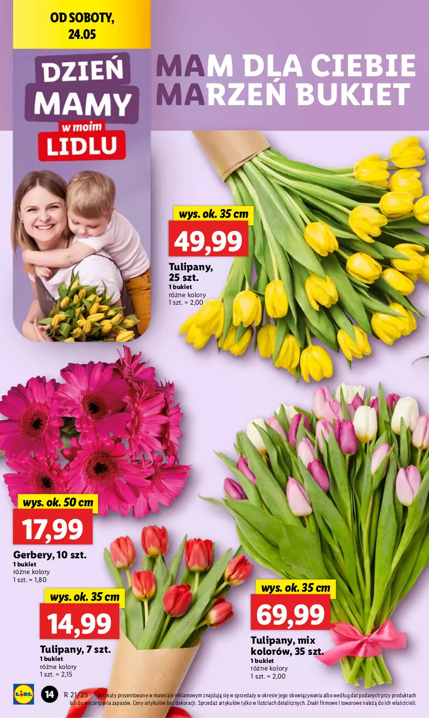 Gazetka promocyjna Lidl - GAZETKA - ważna 22.05 do 24.05.2025 - strona 16 - produkty: Bukiet, Gerber, Tulipan