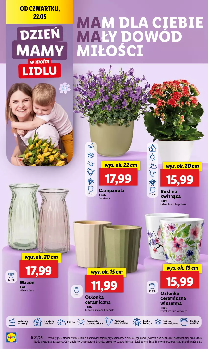 Gazetka promocyjna Lidl - GAZETKA - ważna 22.05 do 24.05.2025 - strona 18 - produkty: Campanula, Cień, Gerber, Kalanchoe, O nas, Osłonka, Por, Wazon