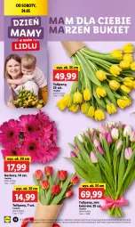 Gazetka promocyjna Lidl - GAZETKA - Gazetka - ważna od 24.05 do 24.05.2025 - strona 16 - produkty: Gerber, Tulipan, Bukiet