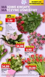 Gazetka promocyjna Lidl - GAZETKA - Gazetka - ważna od 24.05 do 24.05.2025 - strona 17 - produkty: Tulipan, Bukiet