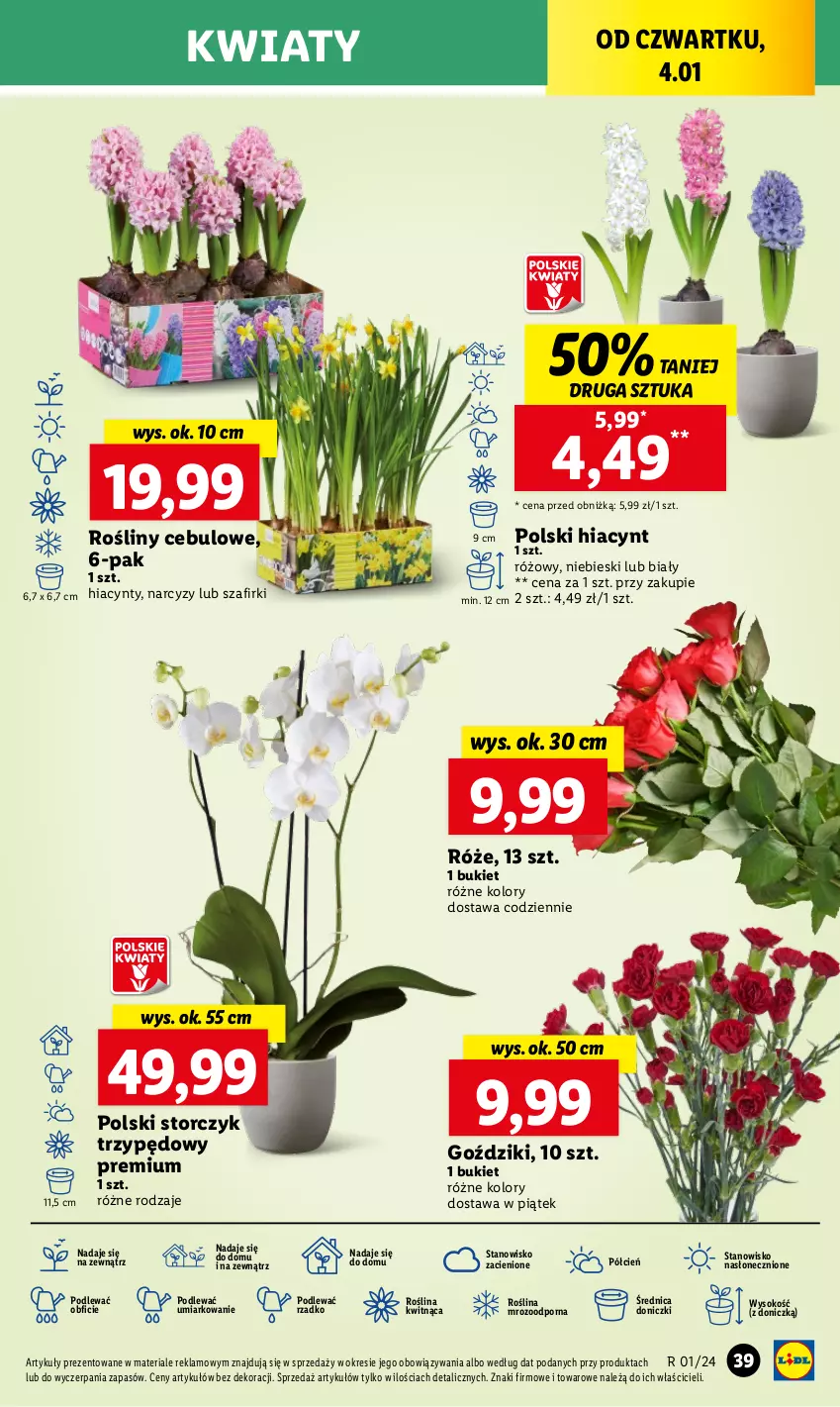 Gazetka promocyjna Lidl - GAZETKA - ważna 04.01 do 05.01.2024 - strona 43 - produkty: Bukiet, Cień, Hiacynt, Narcyz, O nas, Por, Sok, Storczyk