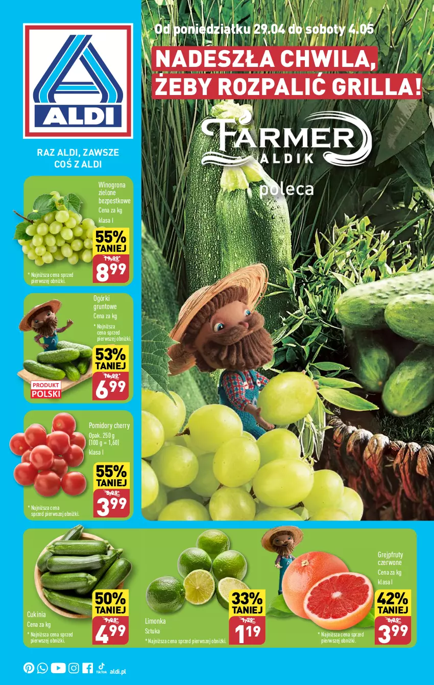 Gazetka promocyjna Aldi - Farmer ALDIK poleca świeże owoce i warzywa - ważna 29.04 do 04.05.2024 - strona 1 - produkty: Grejpfrut, Grill, Grunt, Limonka, Pomidory, Wino, Winogrona