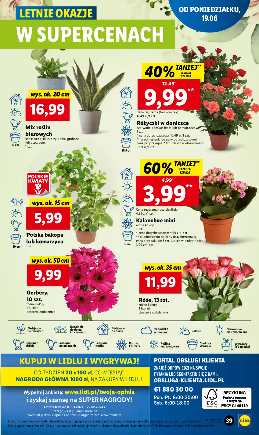 Gazetka promocyjna Lidl - GAZETKA - ważna 19.06 do 21.06.2023 - strona 49 - produkty: Biuro, Bukiet, Cień, Gerber, Gry, Kalanchoe, Mola, O nas, Por, Sok