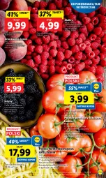 Gazetka promocyjna Lidl - GAZETKA - Gazetka - ważna od 21.06 do 21.06.2023 - strona 21 - produkty: Jeżyny, Fasola, Maliny, Fasola szparagowa, Brzoskwinie, Pomidory, Fa