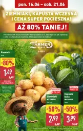 Gazetka promocyjna Aldi - Pełna oferta - Gazetka - ważna od 21.06 do 21.06.2025 - strona 4 - produkty: Koc, Kosz, Ziemniaki, Fa