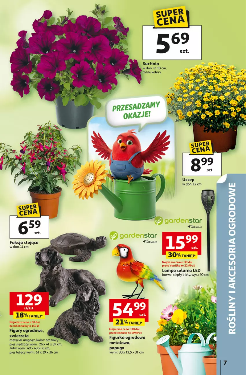 Gazetka promocyjna Auchan - Gazetka 30 Lat Hipermarket Auchan - ważna 23.04 do 28.04.2026 - strona 7 - produkty: Lampa, Magnez, Surf, Zwierzęta