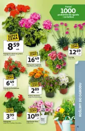 Gazetka promocyjna Auchan - Gazetka 30 Lat Hipermarket Auchan - Gazetka - ważna od 28.04 do 28.04.2026 - strona 5 - produkty: Kask