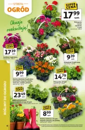 Gazetka promocyjna Auchan - Gazetka 30 Lat Hipermarket Auchan - Gazetka - ważna od 28.04 do 28.04.2026 - strona 6 - produkty: Ser, Truskawki, Surf, Deser, Aksam