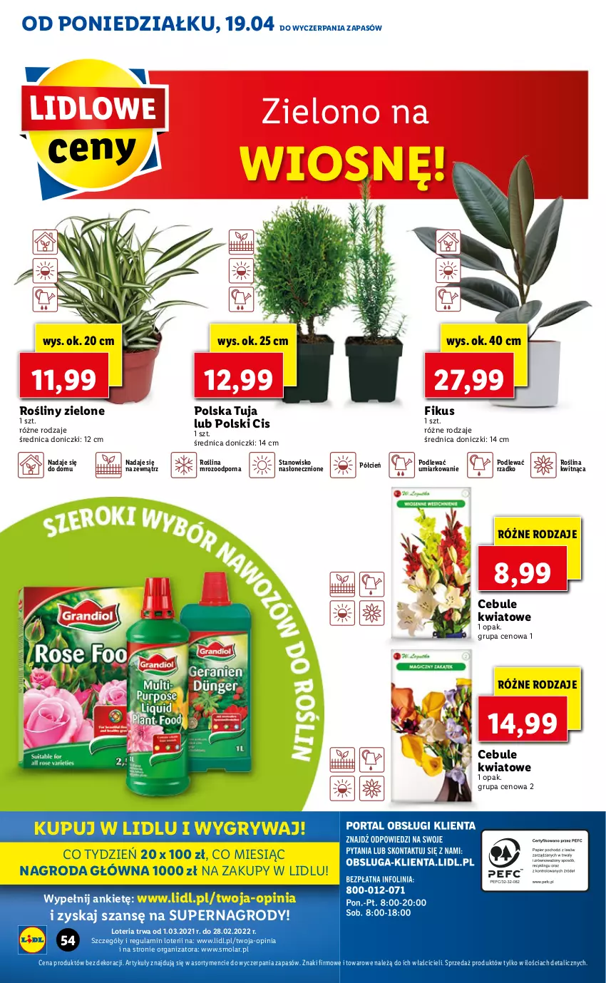 Gazetka promocyjna Lidl - GAZETKA - ważna 19.04 do 21.04.2021 - strona 54 - produkty: Cień, Gry, Mola, O nas, Por