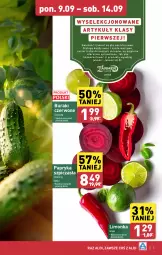 Gazetka promocyjna Aldi - Farmer ALDIK poleca świeże owoce i warzywa - Gazetka - ważna od 14.09 do 14.09.2024 - strona 5 - produkty: Papryka, Buraki, Limonka, Szpic