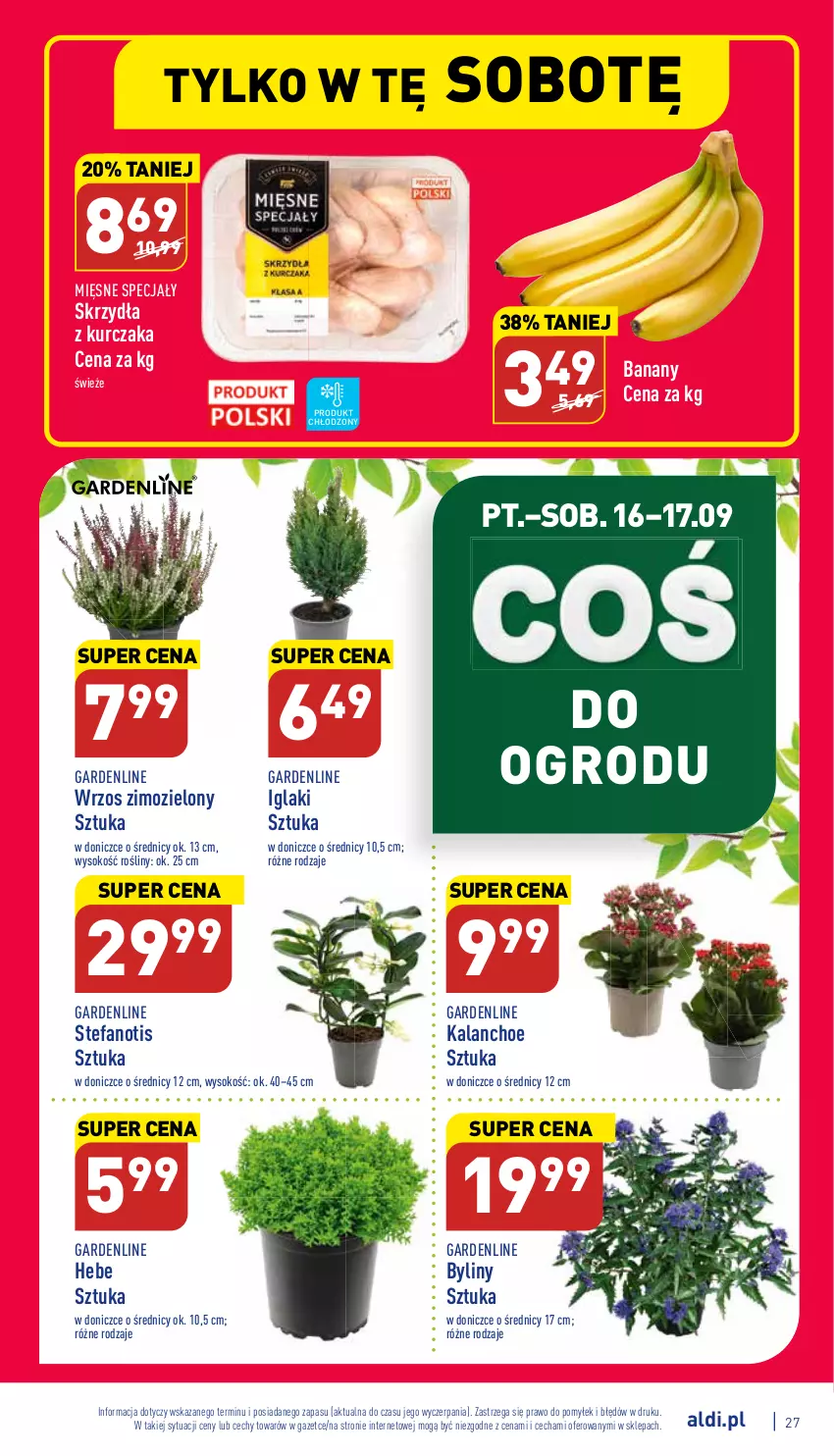 Gazetka promocyjna Aldi - Katalog spożywczy - ważna 12.09 do 17.09.2022 - strona 27 - produkty: Banany, Fa, Kalanchoe, Kurczak, Mięsne specjały, Sok