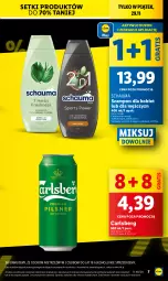 Gazetka promocyjna Lidl - GAZETKA - Gazetka - ważna od 30.11 do 30.11.2024 - strona 7 - produkty: Gra, Carlsberg, Schauma, Szampon