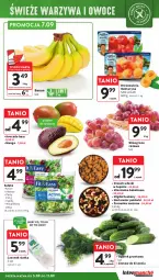 Gazetka promocyjna Intermarche - Gazetka Intermarche - Gazetka - ważna od 11.09 do 11.09.2024 - strona 13 - produkty: Ogórek, Czosnek, Siatka, Sałat, Avocado, Wino, Grunt, Grill, Mango, Mieszanka bakaliowa, Nektar, Fa