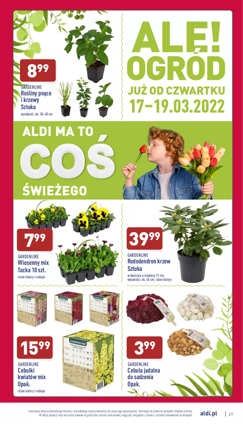 Gazetka promocyjna Aldi - Pełny katalog - ważna 14.03 do 19.03.2022 - strona 27 - produkty: Cebula, Dron, Sok