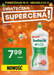 Gazetka promocyjna Delikatesy Centrum - NOWA GAZETKA Delikatesy Centrum od 16 grudnia! 16-22.12.2024 - Gazetka - ważna od 22.12 do 22.12.2024 - strona 9 - produkty: Ludwik, Koc