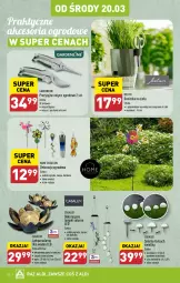 Gazetka promocyjna Aldi - Pełna oferta - Gazetka - ważna od 24.03 do 24.03.2024 - strona 40 - produkty: Sok, Noż, Nożyce, Pojemnik, Ozdoba, Lampa