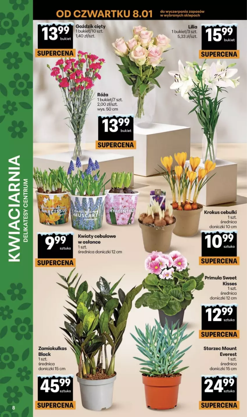Gazetka promocyjna Delikatesy Centrum - Franczyza DC02 Czwartek - ważna 08.01 do 14.01.2026 - strona 8 - produkty: Bukiet, Krokus, Lack, Primula