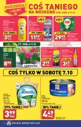 Gazetka promocyjna Aldi - Pełna oferta - Gazetka - ważna od 07.10 do 07.10.2023 - strona 30 - produkty: Piwa, Piwo, Sos, Sok, Ser, Gra, Cyklamen, Tablet, Kret, Tatra, Serek, Mleczko, Putzmeister, Hochland, Tuńczyk, Fairy, Zmywarki, Tabletki do zmywarki, Almette, Fa