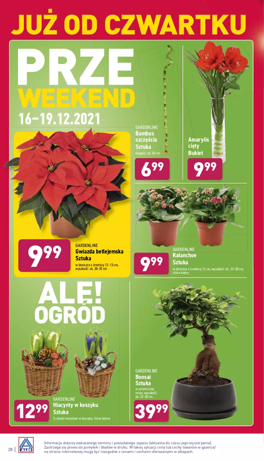 Gazetka promocyjna Aldi - Pełny katalog - ważna 13.12 do 19.12.2021 - strona 28 - produkty: Amarylis, Bukiet, Gwiazda, Hiacynt, Kalanchoe, Kosz, Sok