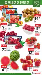 Gazetka promocyjna Intermarche - Gazetka Intermarche - Gazetka - ważna od 12.08 do 12.08.2024 - strona 9 - produkty: Kiwi, Nektarynka, Candy, Arbuz, Wino, Nektar