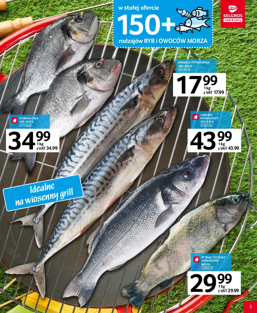 Gazetka promocyjna Selgros - Katalog Grill - ważna 20.04 do 02.05.2023 - strona 5 - produkty: Grill, Pstrąg, Pstrąg tęczowy