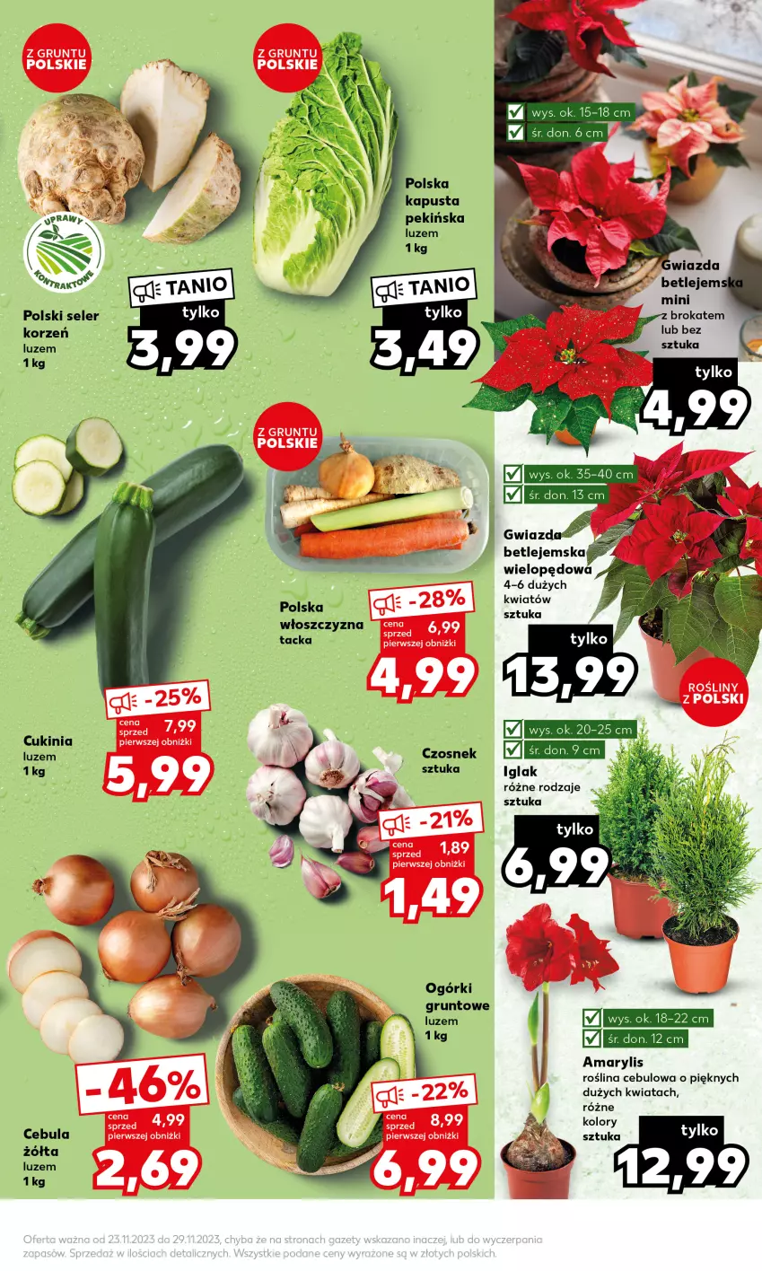 Gazetka promocyjna Kaufland - Mocny Start - ważna 27.11 do 29.11.2023 - strona 17 - produkty: Amarylis, Cebula, Czosnek, Grunt