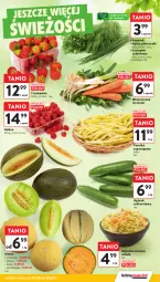 Gazetka promocyjna Intermarche - Gazetka Intermarche - Gazetka - ważna od 20.08 do 20.08.2025 - strona 25 - produkty: Ogórek, Sałat, Natka pietruszki, Melon, Fa