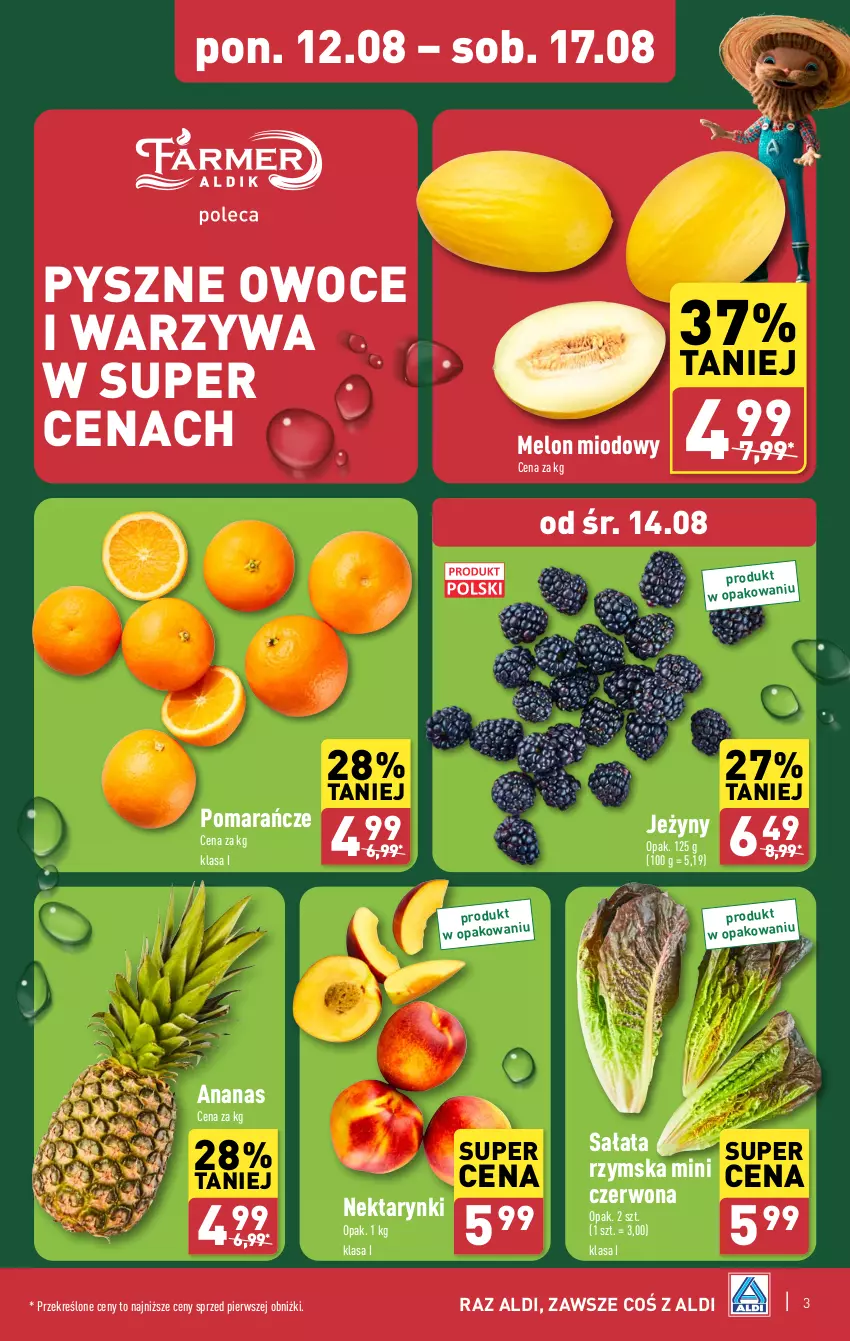 Gazetka promocyjna Aldi - Pełna oferta - ważna 12.08 do 17.08.2024 - strona 3 - produkty: Ananas, Jeżyny, Melon, Nektar, Owoce, Pomarańcze, Sałat, Warzywa