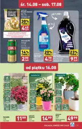 Gazetka promocyjna Aldi - Pełna oferta - Gazetka - ważna od 17.08 do 17.08.2024 - strona 25 - produkty: Piwa, Piwo, Płyn do prania, Por, Gin, Gra, Chodnik, Mieszanka studencka, Kalanchoe, Putzmeister, Płyn do mycia