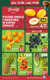 Gazetka promocyjna Aldi - Pełna oferta - Gazetka - ważna od 17.08 do 17.08.2024 - strona 3 - produkty: Warzywa, Jeżyny, Ananas, Pomarańcze, Sałat, Owoce, Melon, Nektar