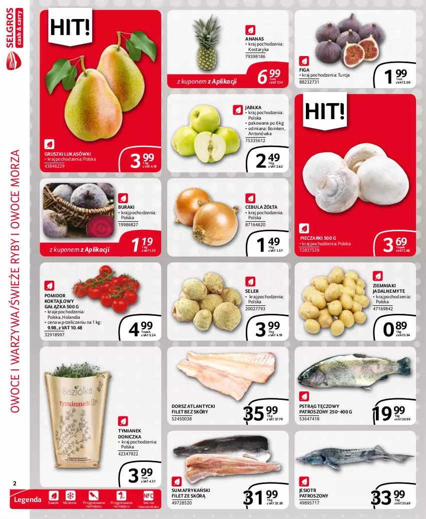 Gazetka promocyjna Selgros - Extra Oferta - ważna 01.09 do 30.09.2021 - strona 2 - produkty: Ananas, Buraki, Cebula, Dorsz, Gruszki, Jabłka, Owoce, Owoce morza, Piec, Pstrąg, Pstrąg tęczowy, Ryby i owoce morza, Sok, Warzywa, Ziemniaki