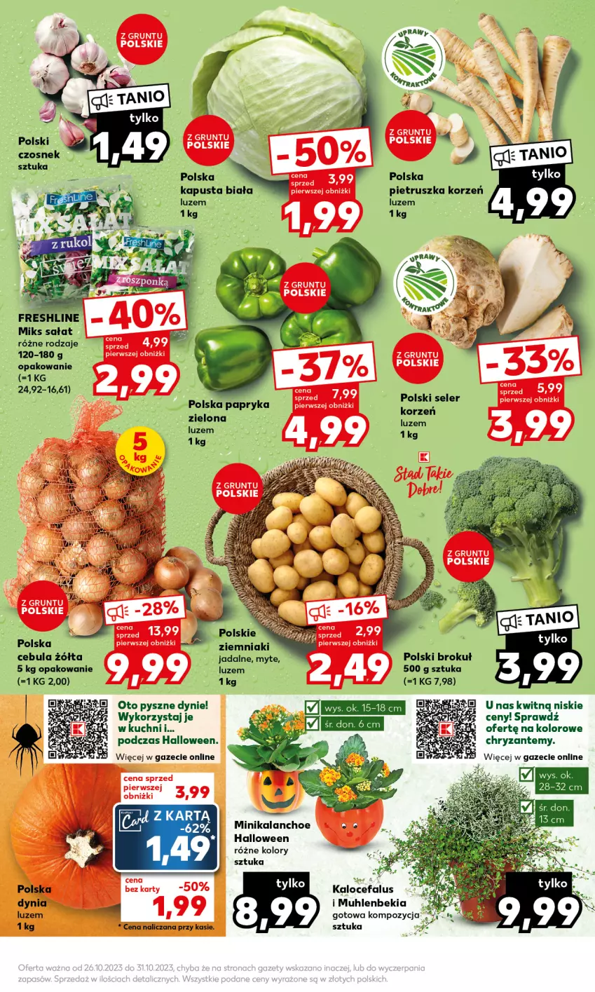 Gazetka promocyjna Kaufland - Mocny Start - ważna 30.10 do 31.10.2023 - strona 13 - produkty: Cebula, Czosnek, Fa, Kalanchoe, Papryka, Pietruszka, Sałat, Ziemniaki