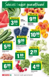 Gazetka promocyjna Spar - Spar - Gazetka - ważna od 12.06 do 12.06.2024 - strona 2 - produkty: Cebula, Borówka, Borówka amerykańska, Cebula szalotka, Morela, Szal, Seler naciowy, Rzodkiewka