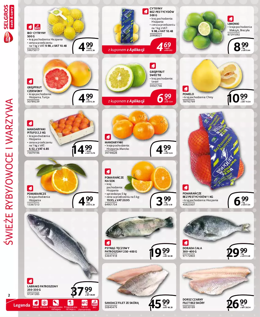 Gazetka promocyjna Selgros - Extra Oferta - ważna 01.11 do 30.11.2021 - strona 2 - produkty: Cytryny, Dorsz, Grejpfrut, Mandarynki, Owoce, Pomarańcze, Pomelo, Pstrąg, Pstrąg tęczowy, Sandacz, Sandacz filet, Sok, Warzywa