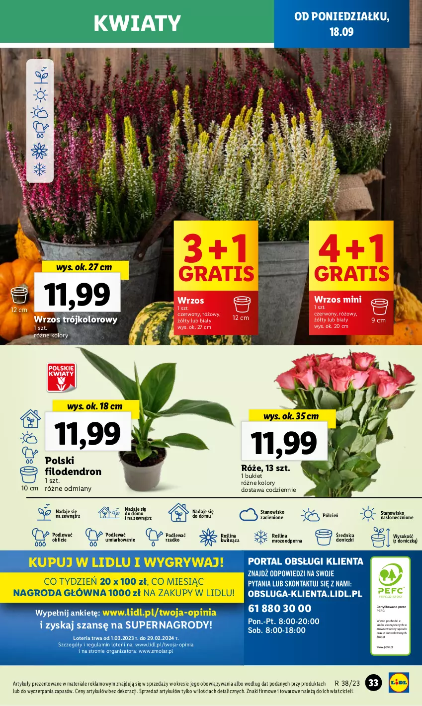 Gazetka promocyjna Lidl - GAZETKA - ważna 18.09 do 20.09.2023 - strona 41 - produkty: Bukiet, Cień, Dron, Gra, Gry, Mola, O nas, Por, Sok