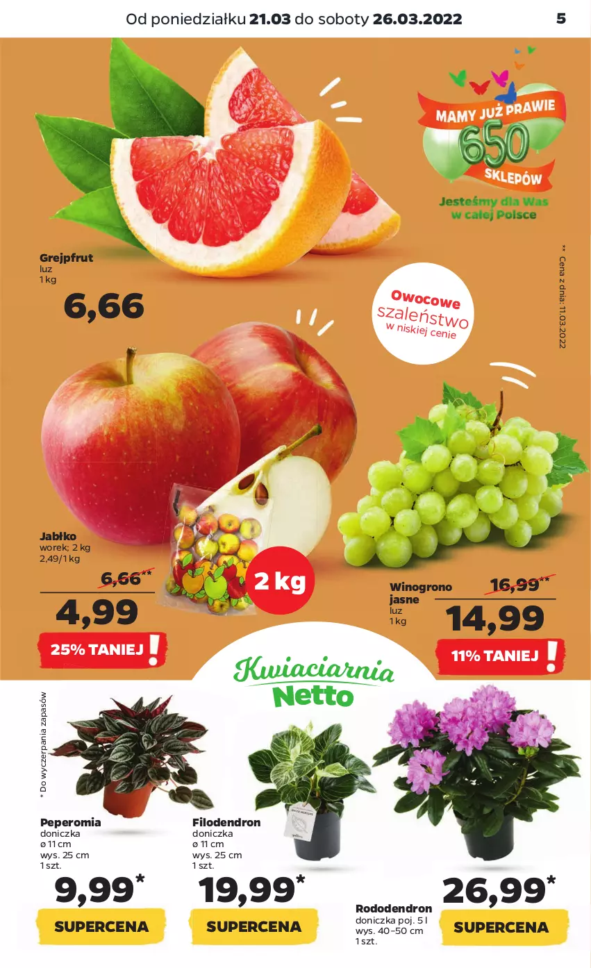 Gazetka promocyjna Netto - Gazetka spożywcza - ważna 21.03 do 26.03.2022 - strona 5 - produkty: Dron, Grejpfrut, Szal, Wino