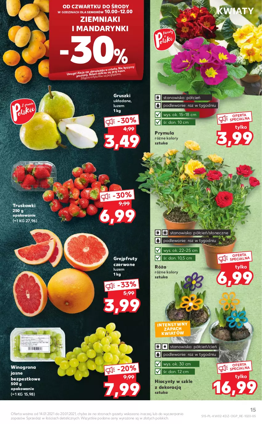 Gazetka promocyjna Kaufland - OFERTA TYGODNIA - ważna 14.01 do 20.01.2021 - strona 15