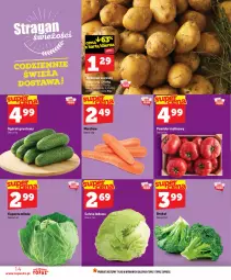 Gazetka promocyjna Topaz - Gazetka - Gazetka - ważna od 22.07 do 22.07.2026 - strona 14 - produkty: Top, Sałata lodowa, Sałat, Pomidor malinowy, LG